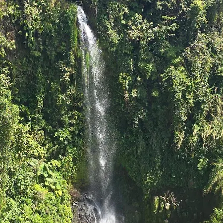 Glamping La Mardo Hotel Cartago Exterior photo