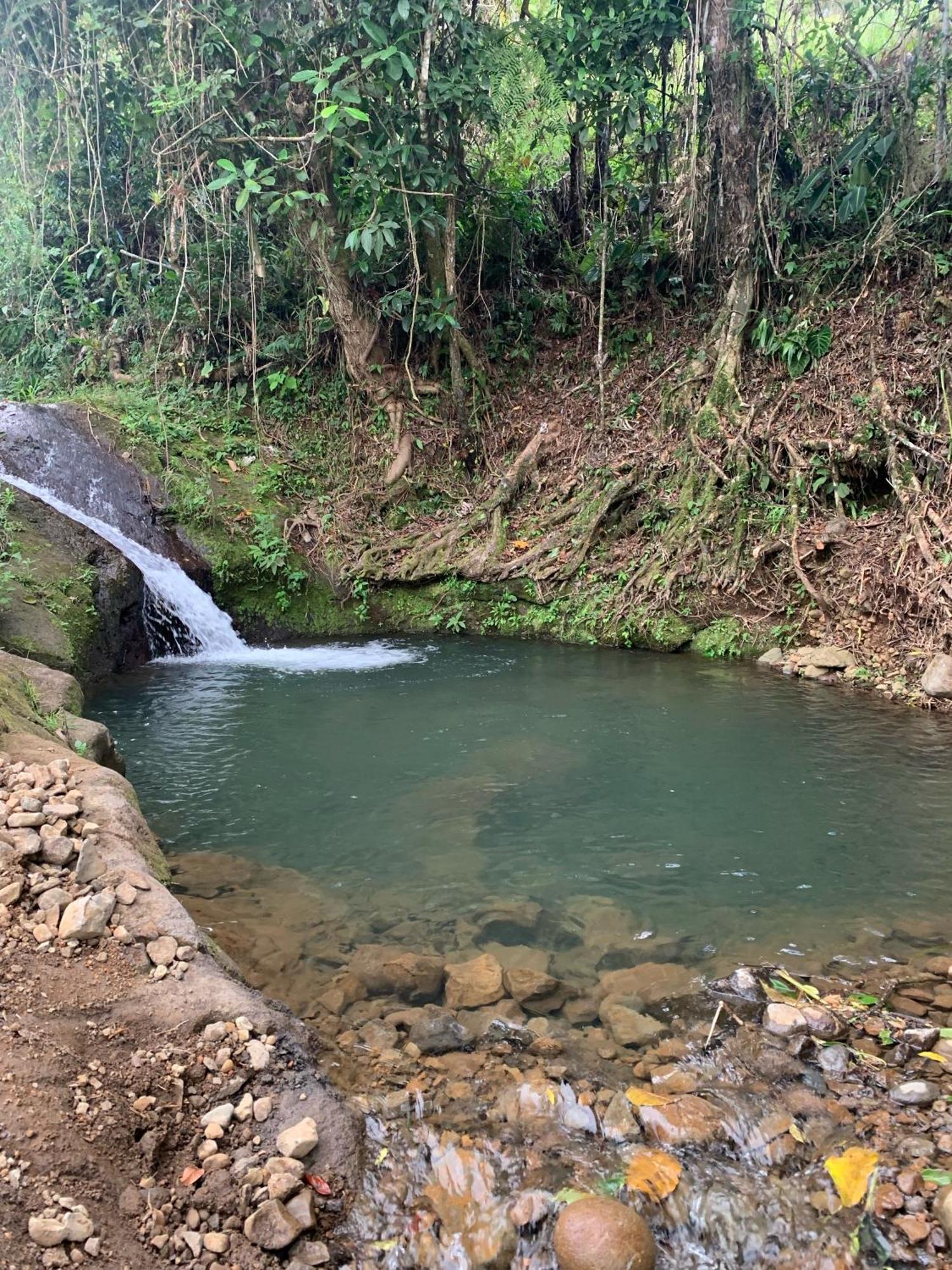 Glamping La Mardo Cartago