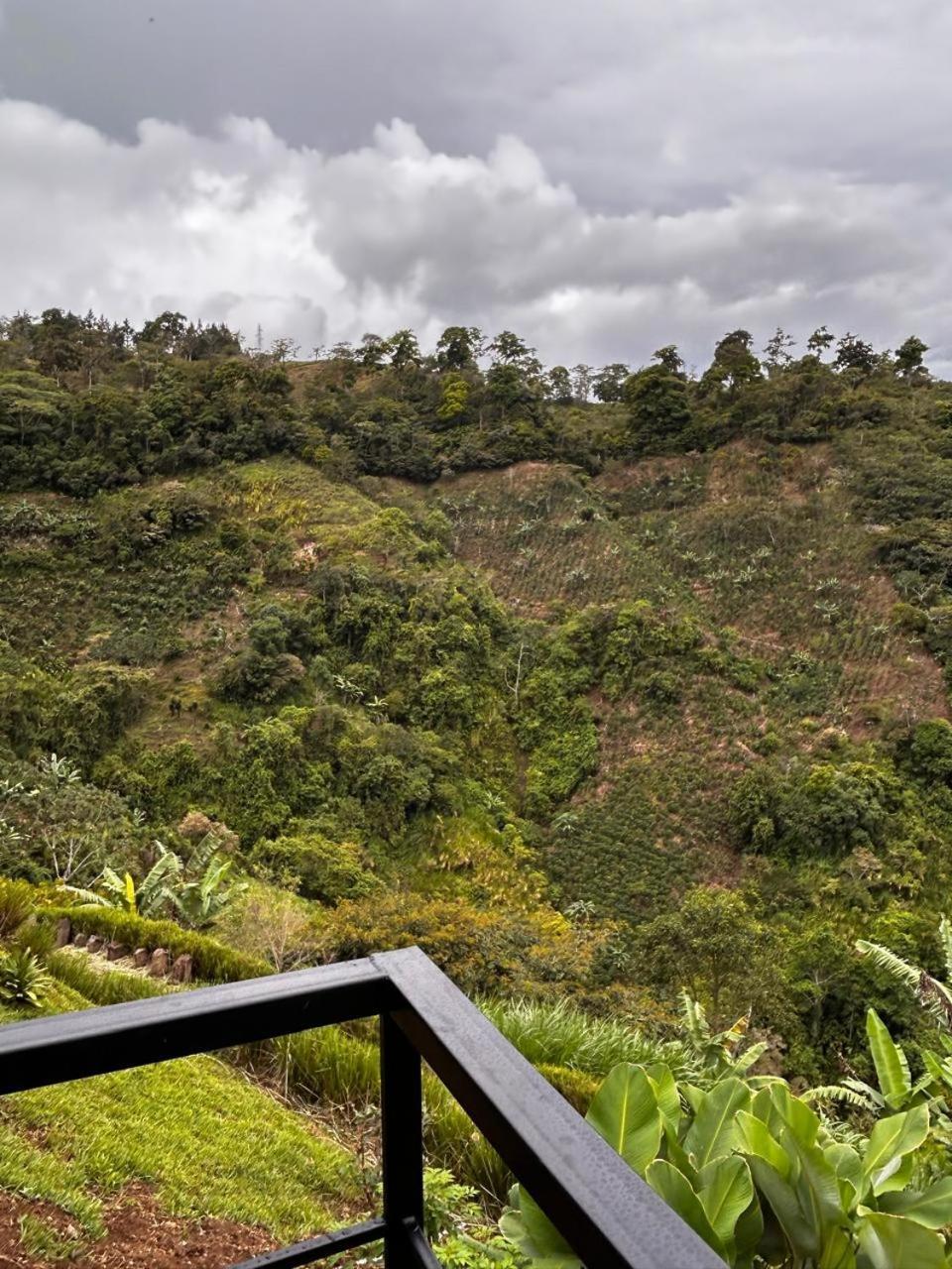 Glamping La Mardo * Cartago
